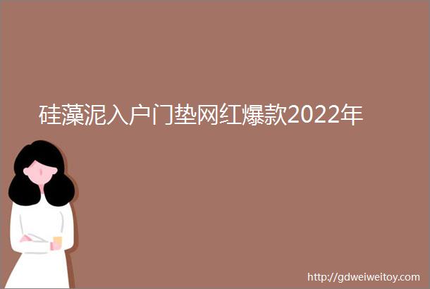 硅藻泥入户门垫网红爆款2022年