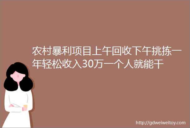 农村暴利项目上午回收下午挑拣一年轻松收入30万一个人就能干