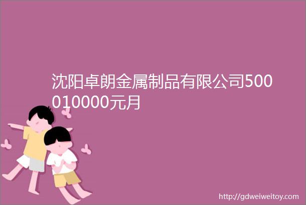 沈阳卓朗金属制品有限公司500010000元月