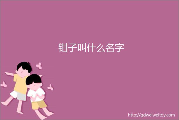 钳子叫什么名字