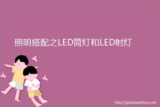 照明搭配之LED筒灯和LED射灯