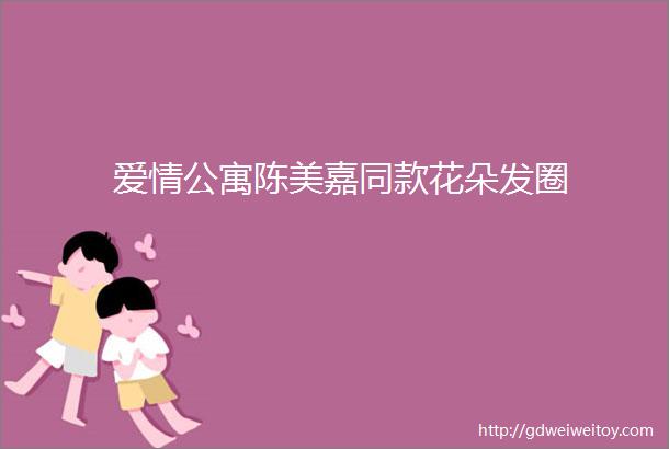 爱情公寓陈美嘉同款花朵发圈