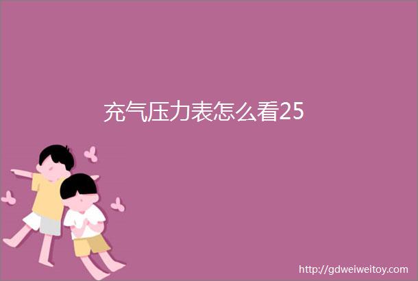 充气压力表怎么看25