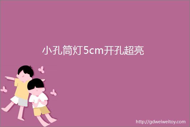 小孔筒灯5cm开孔超亮