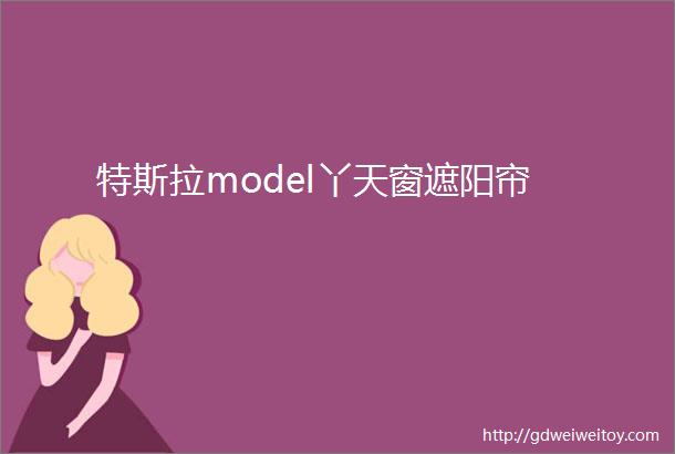 特斯拉model丫天窗遮阳帘