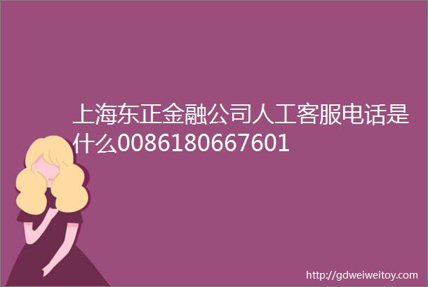 上海东正金融公司人工客服电话是什么00861806676011424小时服务中心