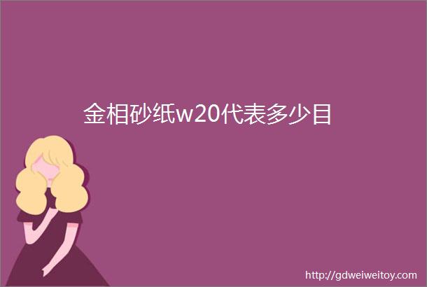 金相砂纸w20代表多少目