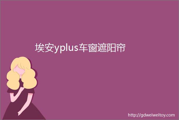 埃安yplus车窗遮阳帘