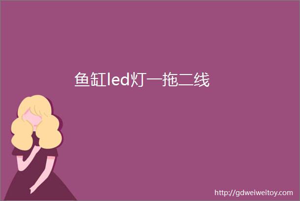 鱼缸led灯一拖二线