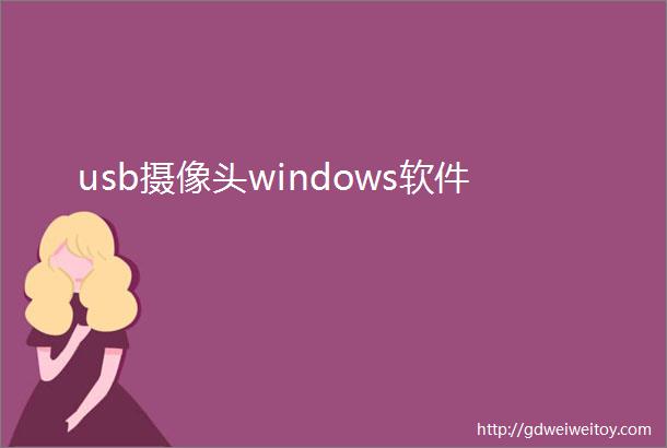 usb摄像头windows软件