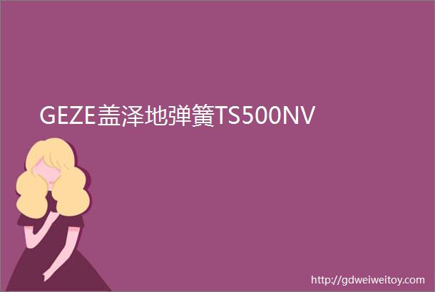 GEZE盖泽地弹簧TS500NV