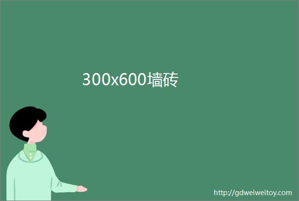 300x600墙砖