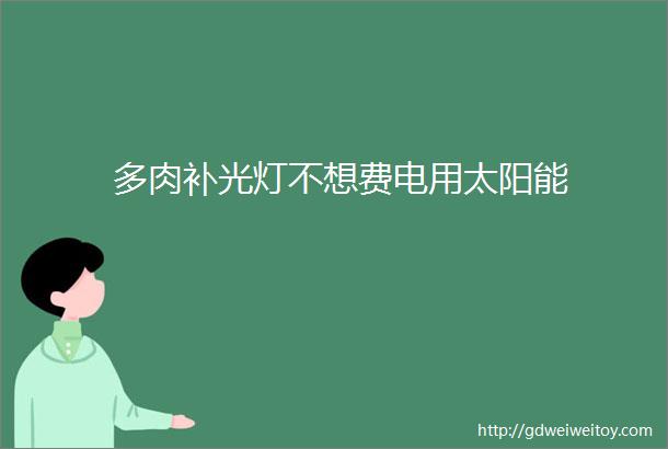 多肉补光灯不想费电用太阳能