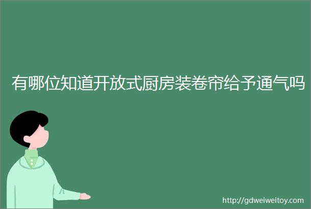 有哪位知道开放式厨房装卷帘给予通气吗