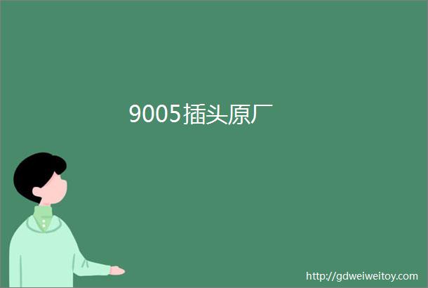 9005插头原厂