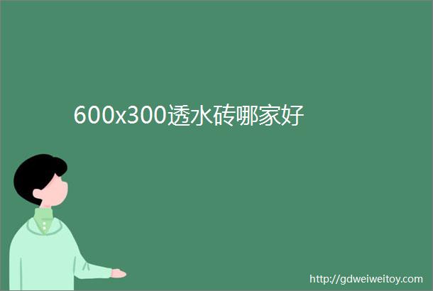 600x300透水砖哪家好