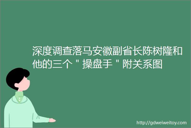 深度调查落马安徽副省长陈树隆和他的三个＂操盘手＂附关系图