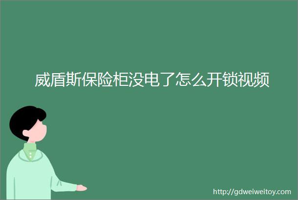 威盾斯保险柜没电了怎么开锁视频