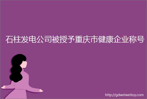 石柱发电公司被授予重庆市健康企业称号