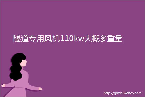 隧道专用风机110kw大概多重量