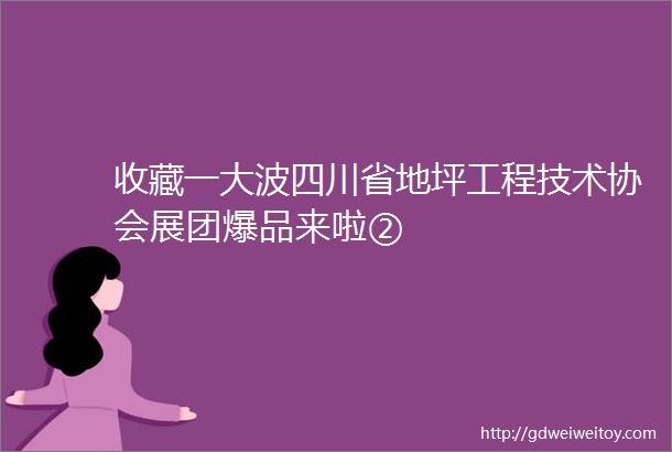 收藏一大波四川省地坪工程技术协会展团爆品来啦②