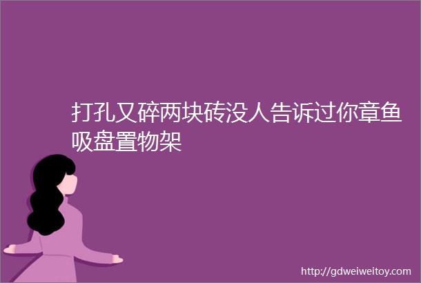 打孔又碎两块砖没人告诉过你章鱼吸盘置物架