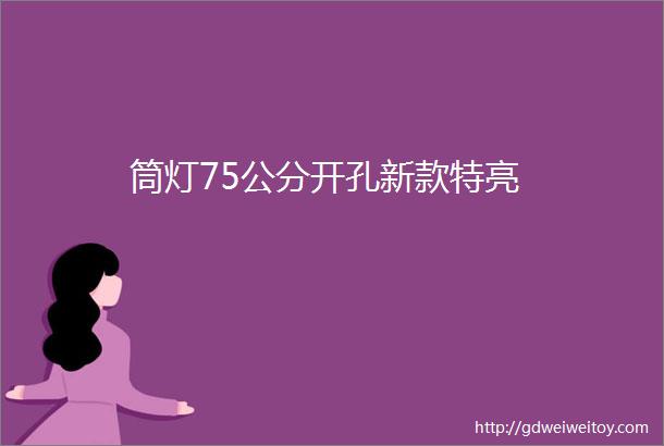 筒灯75公分开孔新款特亮