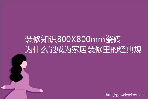 装修知识800X800mm瓷砖为什么能成为家居装修里的经典规格呢