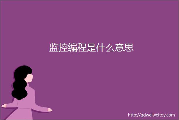 监控编程是什么意思