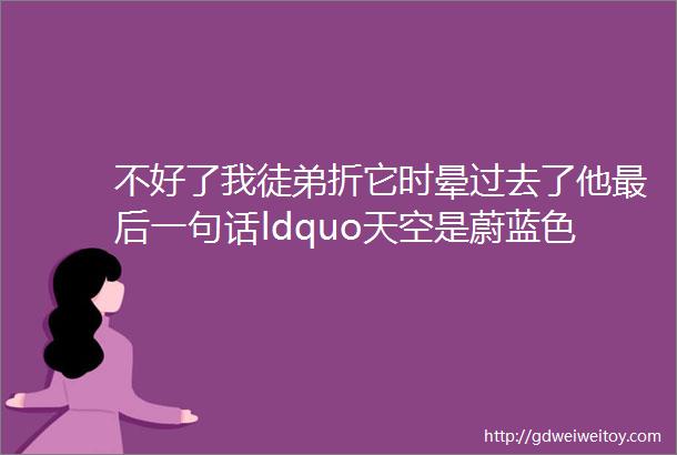 不好了我徒弟折它时晕过去了他最后一句话ldquo天空是蔚蓝色窗外有千纸鹤helliprdquo