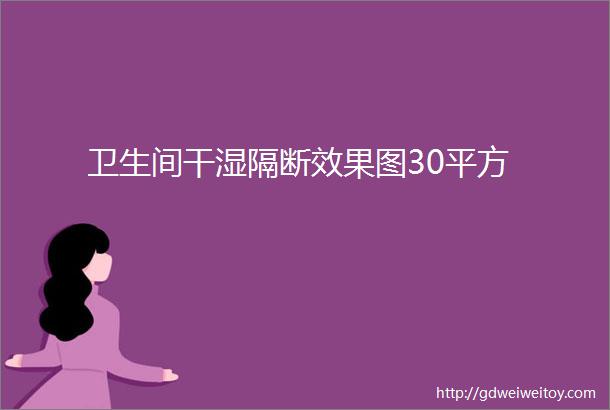 卫生间干湿隔断效果图30平方