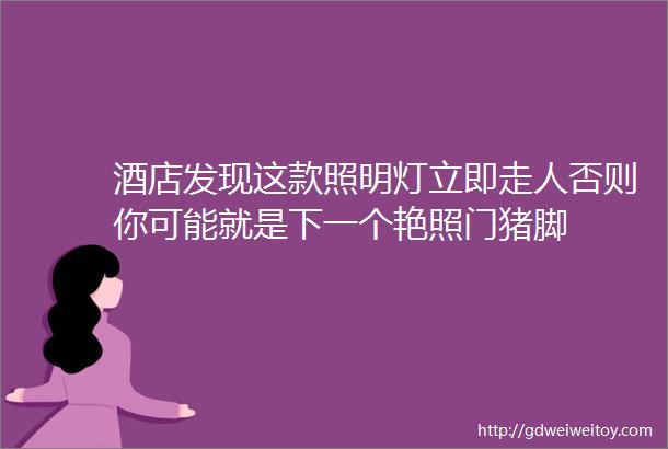 酒店发现这款照明灯立即走人否则你可能就是下一个艳照门猪脚