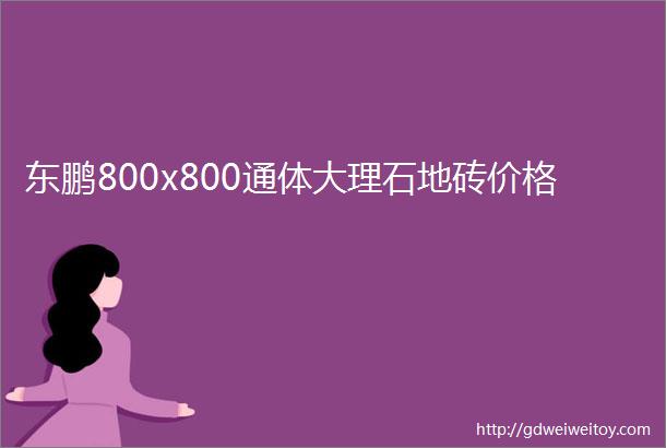 东鹏800x800通体大理石地砖价格