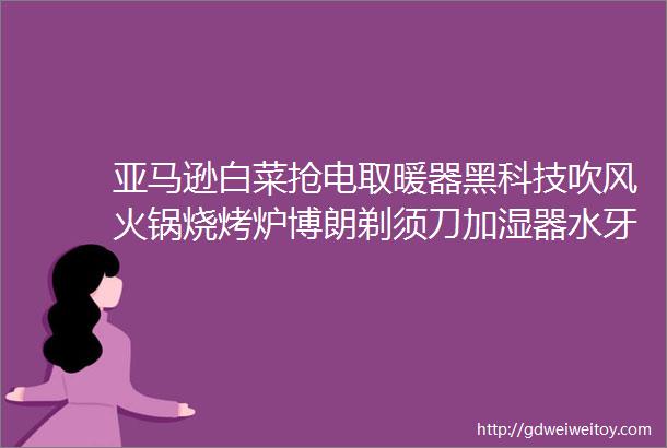 亚马逊白菜抢电取暖器黑科技吹风火锅烧烤炉博朗剃须刀加湿器水牙线床架