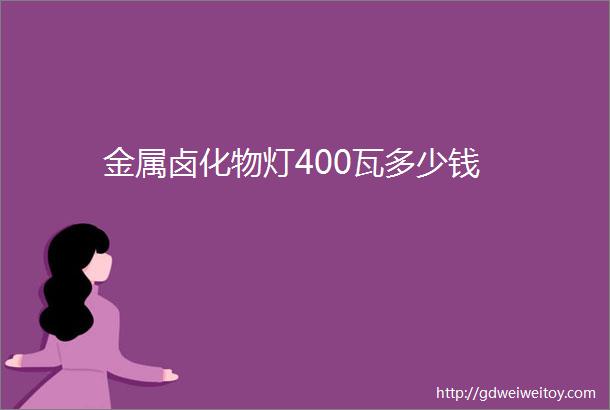 金属卤化物灯400瓦多少钱