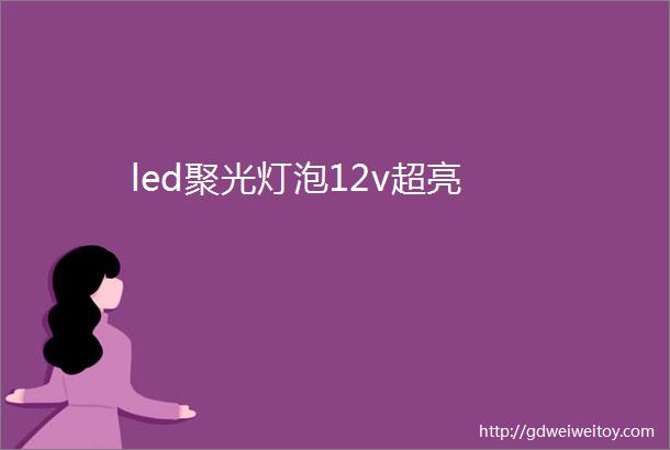 led聚光灯泡12v超亮