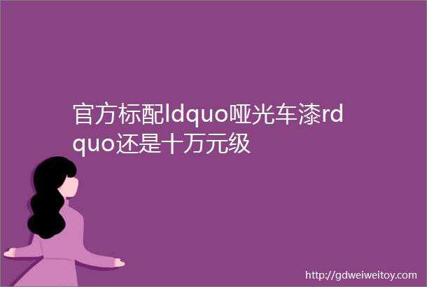 官方标配ldquo哑光车漆rdquo还是十万元级