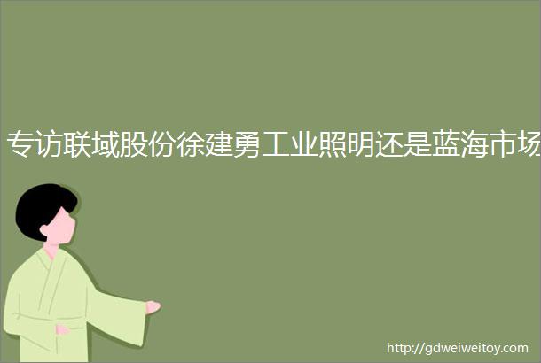 专访联域股份徐建勇工业照明还是蓝海市场