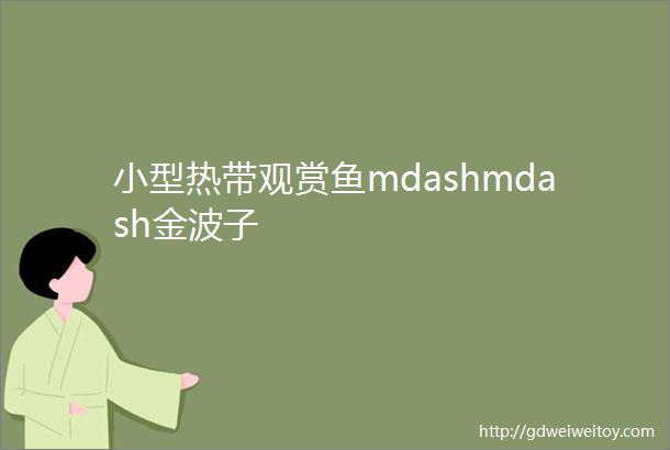 小型热带观赏鱼mdashmdash金波子