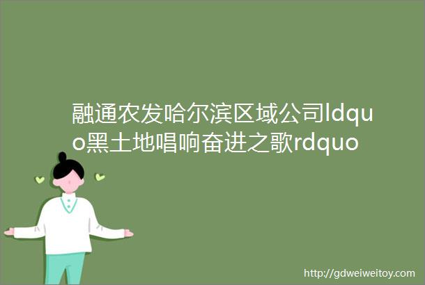 融通农发哈尔滨区域公司ldquo黑土地唱响奋进之歌rdquo主题文艺汇演展播2