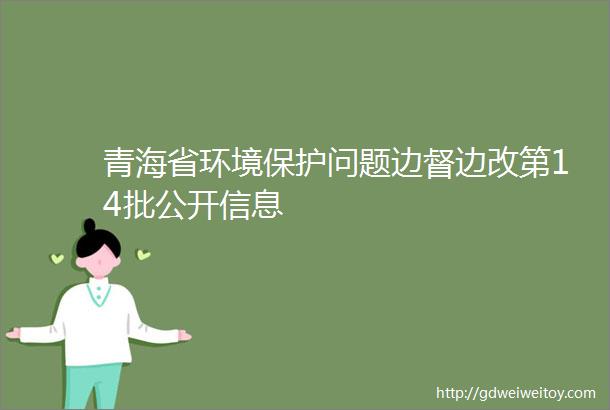 青海省环境保护问题边督边改第14批公开信息