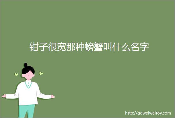 钳子很宽那种螃蟹叫什么名字