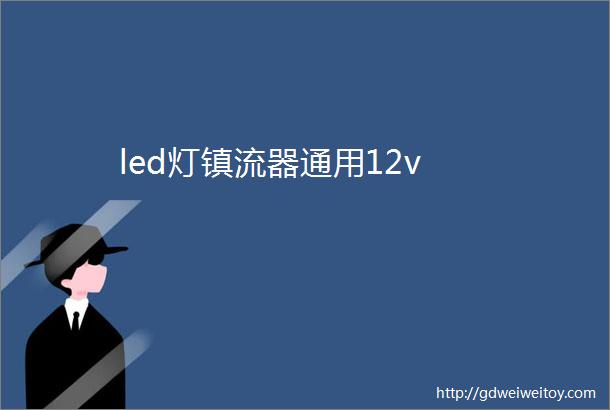 led灯镇流器通用12v