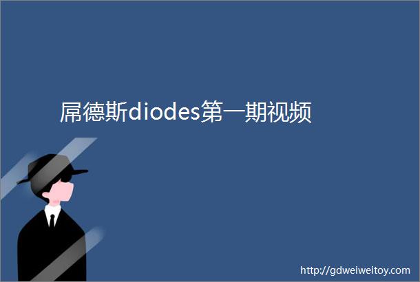 屌德斯diodes第一期视频