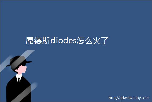 屌德斯diodes怎么火了