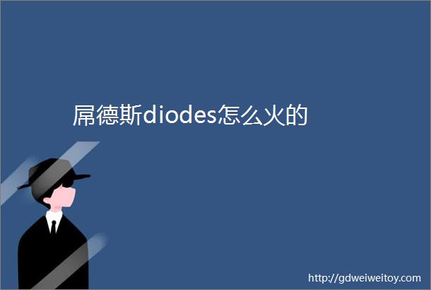 屌德斯diodes怎么火的