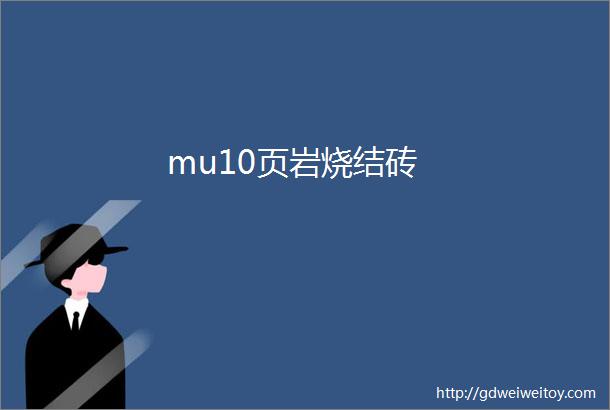 mu10页岩烧结砖