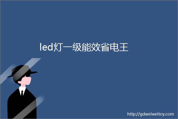 led灯一级能效省电王