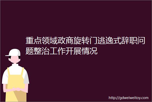 重点领域政商旋转门逃逸式辞职问题整治工作开展情况