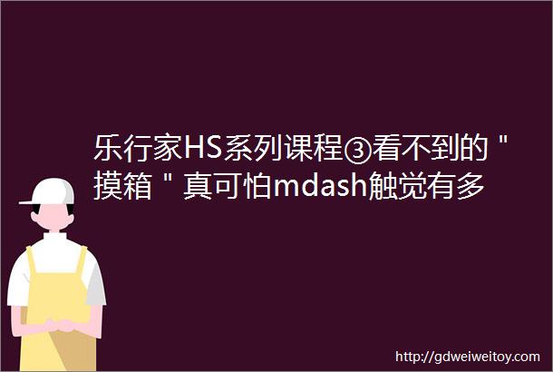 乐行家HS系列课程③看不到的＂摸箱＂真可怕mdash触觉有多重要